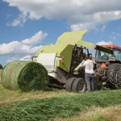 Takarmány előállítás gépei