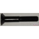 Csavar  10x100 BKNY, SF, 10.9