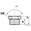Zsirzógomb  6x1 tölcséres
