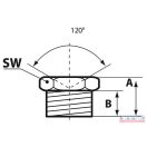 Zsirzógomb  8x1 tölcséres