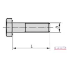 Csavar  20x 80 HTLF, RM