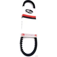 Ékszíj 22X2425 Li CX Gates