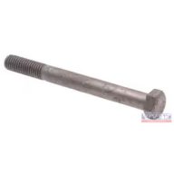 Csavar  24x100 HTLF, RM, tüzihorganyzott