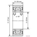3204 2RS (20x47x20,6) csapágy