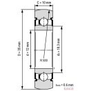 LR201 2RS (12x35x10) FAG csapágy