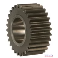 CNH Fogaskerék
