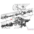 MTZ fogaskerék (féltengely)