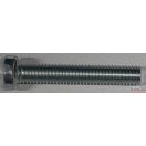 Csavar   5x 30 D-fejű, egyeneshornyú, TM