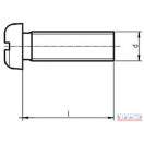Csavar   5x 30 D-fejű, egyeneshornyú, TM