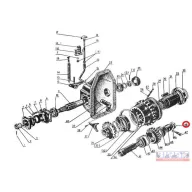 MTZ biztosító anya M24x2