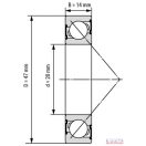 7204 (20x47x14) csapágy
