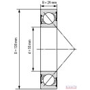 7311 (55x120x29) SKF csapágy