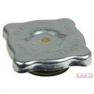 Hűtő sapka 76008464, 790057933, 76027863