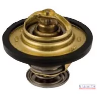Termosztát  54/27x25