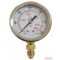 Manométer (0-600 bar)