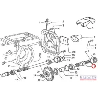CNH TLT tengely (5109726)