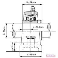 Csapágyház + csapágy UCP-205 (SY-505+YAR-205)