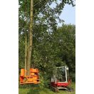 Rönkfogó-vágófej CL190 (woodcracker)