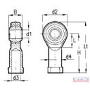 Gömbfej M10 (10x29x59) 